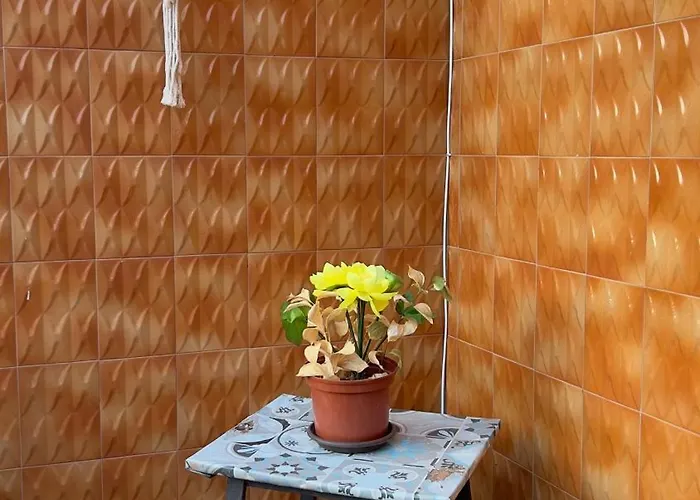 Gysaco Дом отдыха Ното